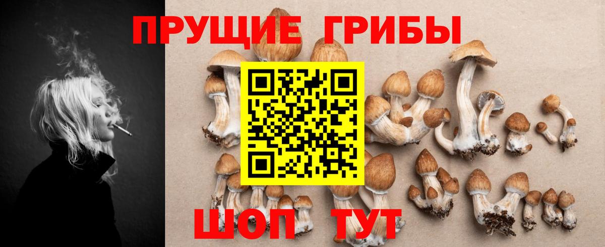 Галлюциногенные грибы Cubensis  Вход с VPN  Киров 